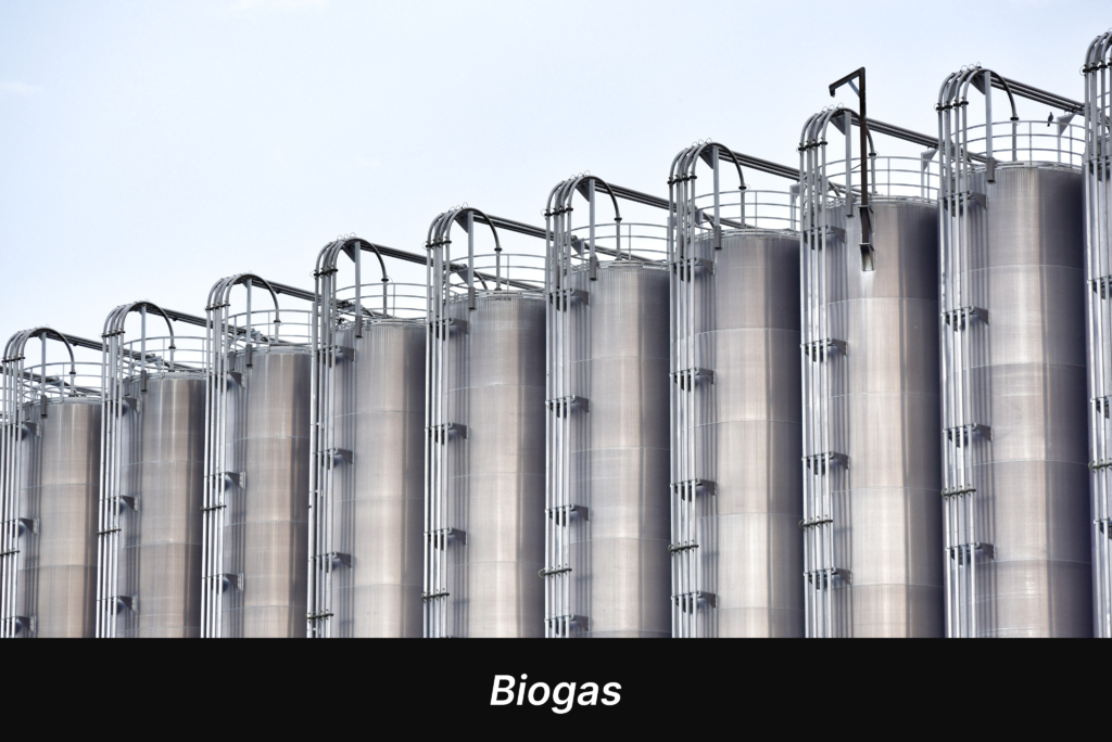 Biogas